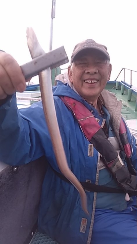 アナゴ(マアナゴ)