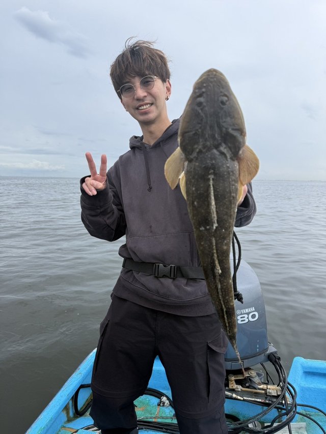 マゴチ