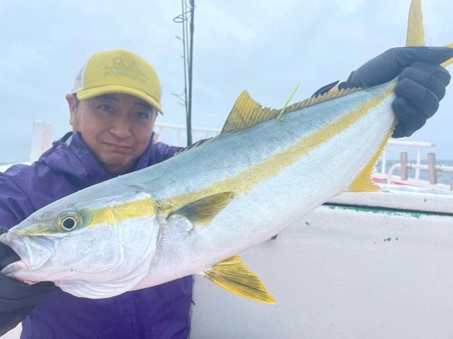 ヒラマサ