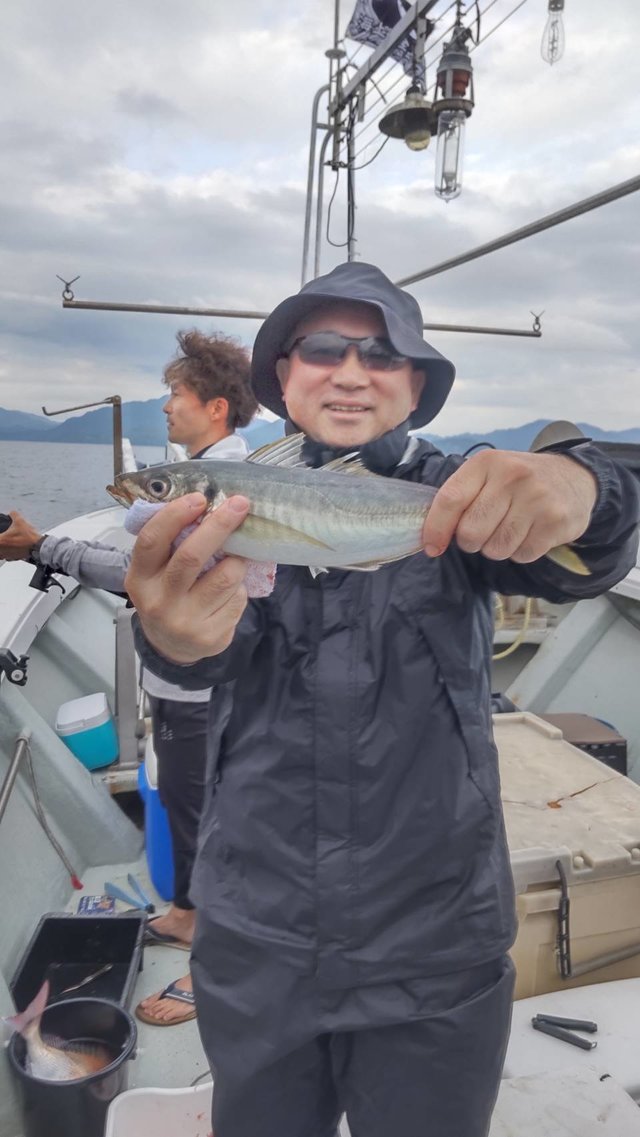 アジ(マアジ)