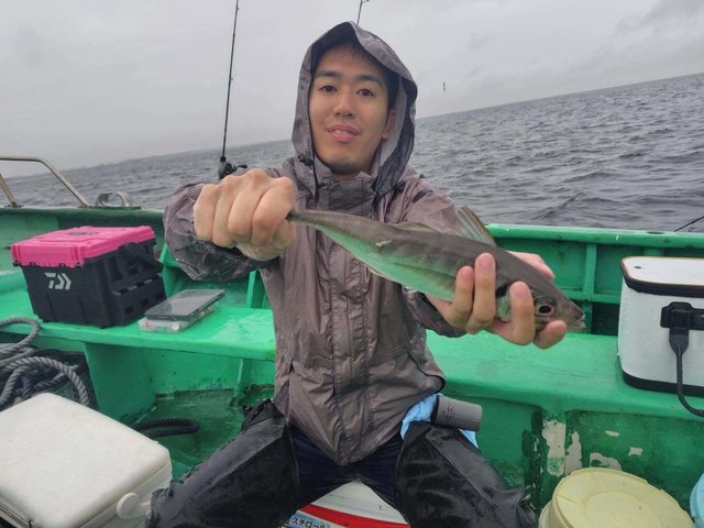 アジ(マアジ)