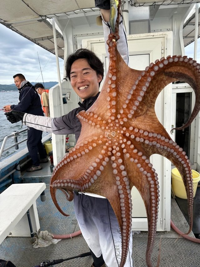 タコ(マダコ)