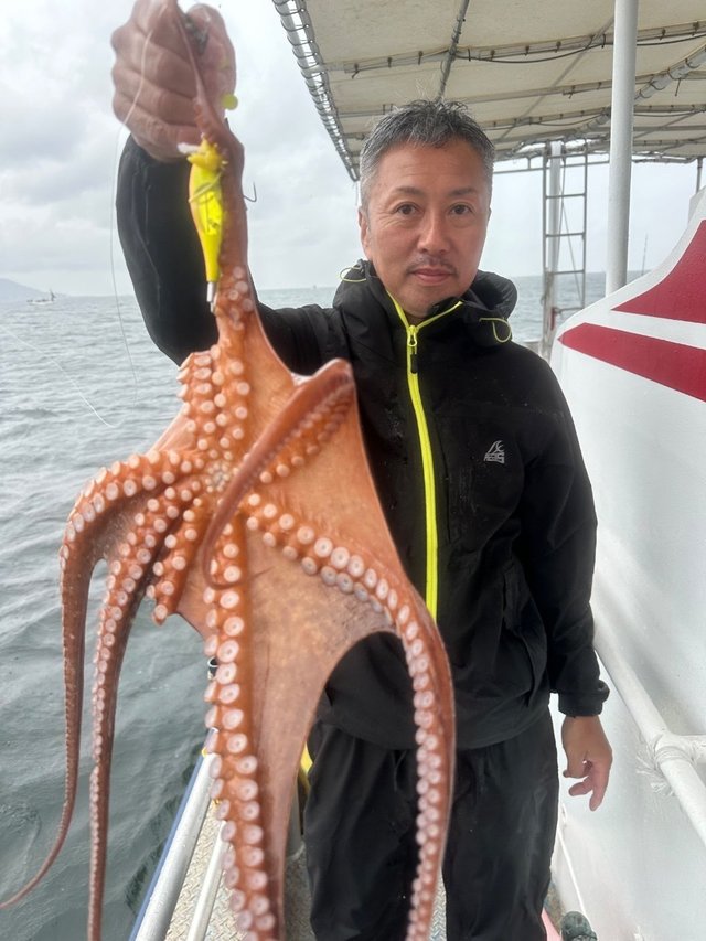 タコ(マダコ)