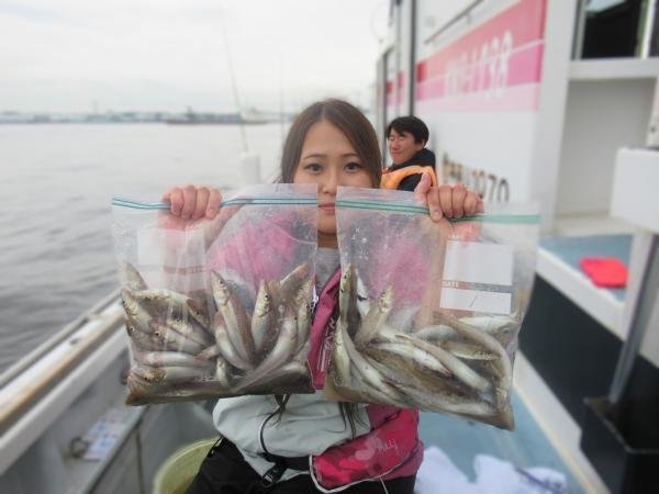 シロギス