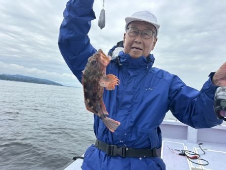 カサゴ