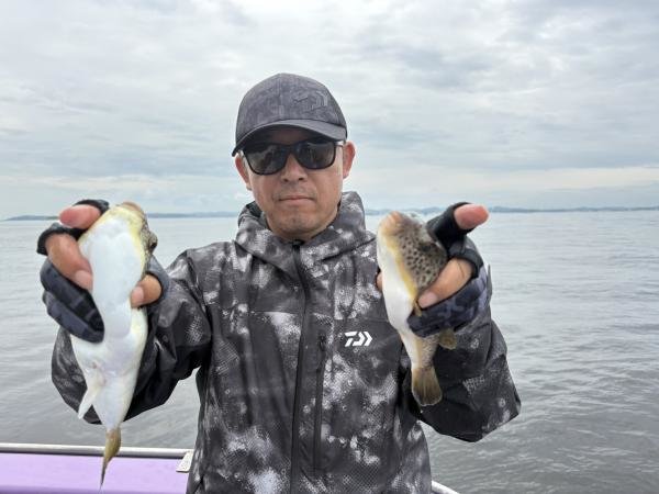 ショウサイフグ