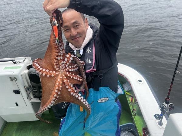 マダコ