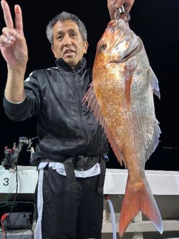 マダイ