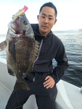 クロダイ