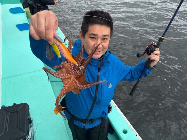 タコ(マダコ)