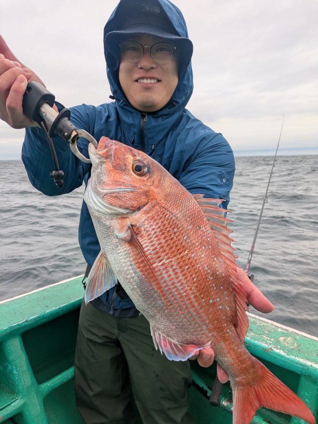 マダイ