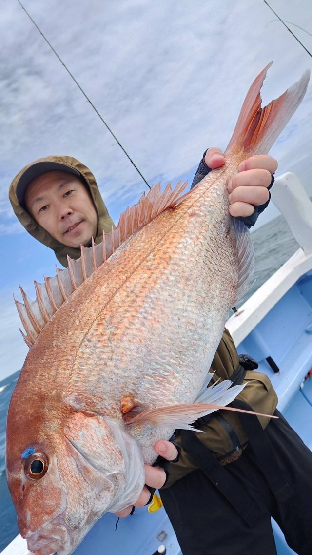 マダイ