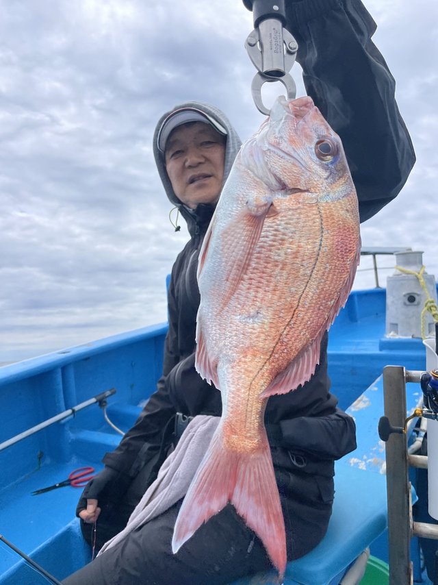 マダイ