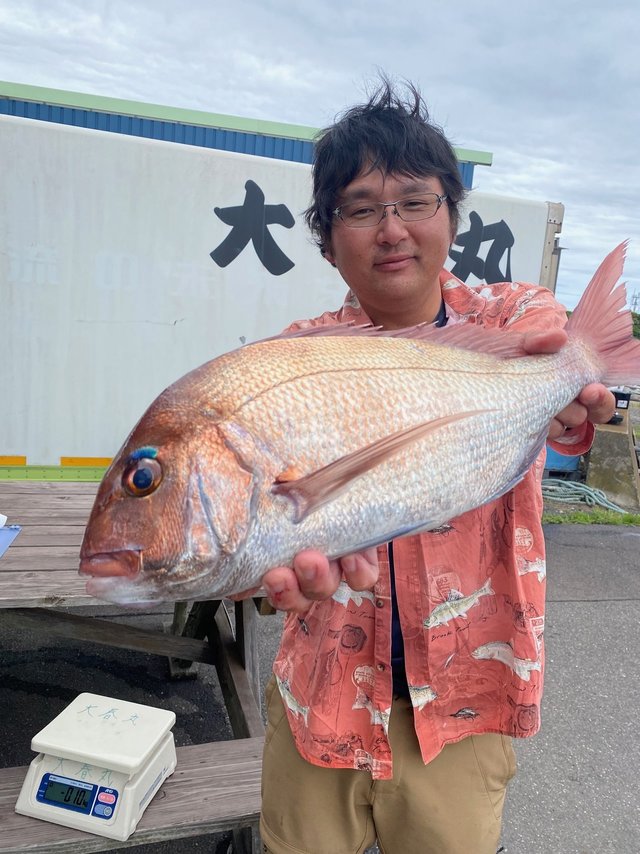 マダイ