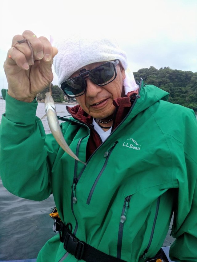 シロギス