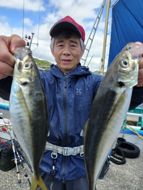 アジ(マアジ)