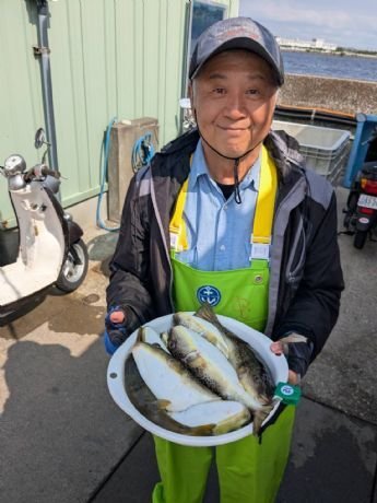 ショウサイフグ