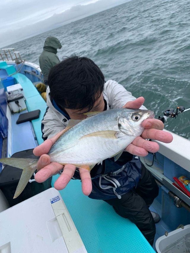 シマアジ