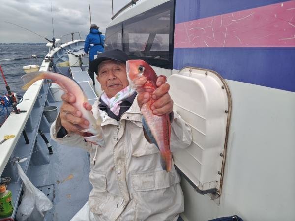 アマダイ(アカアマダイ)
