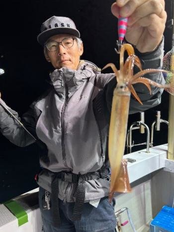 スルメイカ
