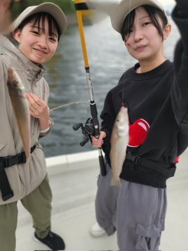 キス(シロギス)