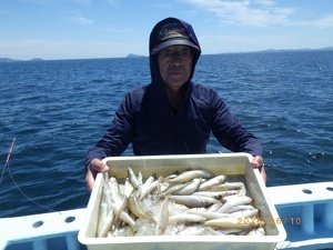 シロギス