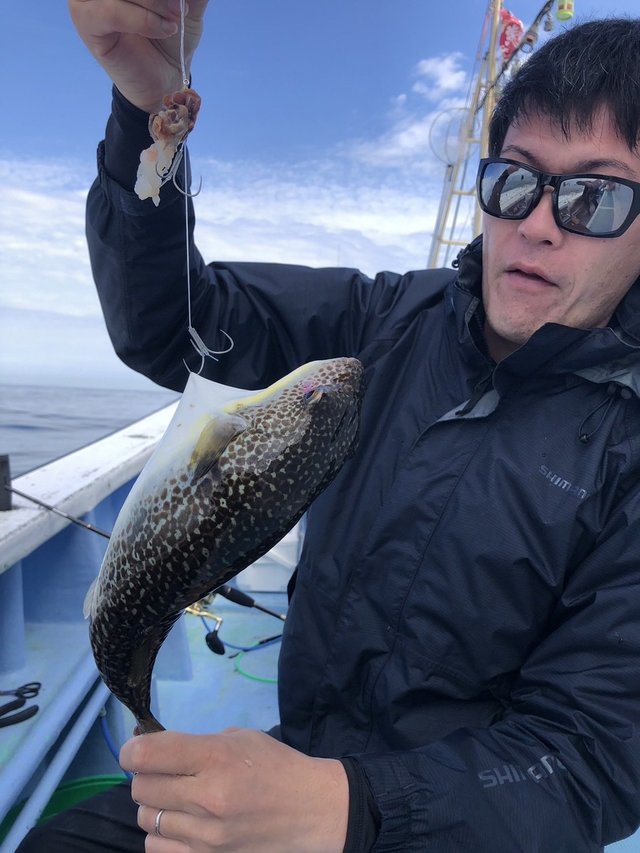 ショウサイフグ