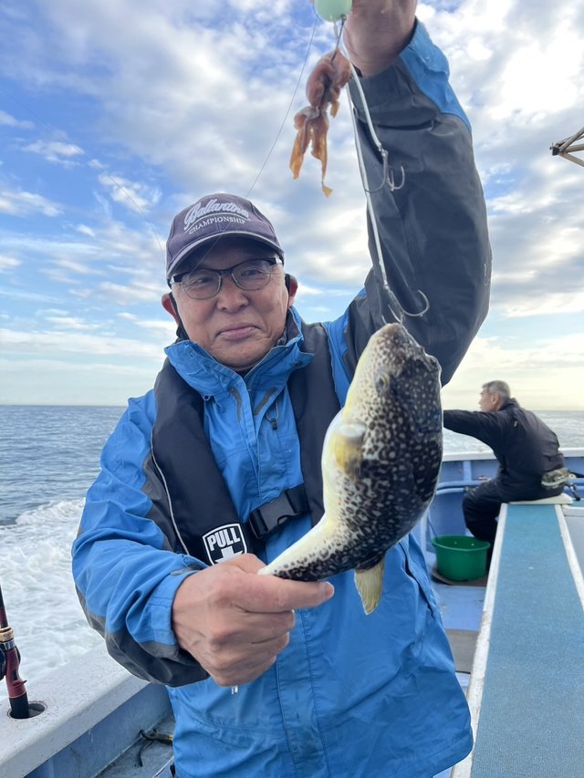 ショウサイフグ