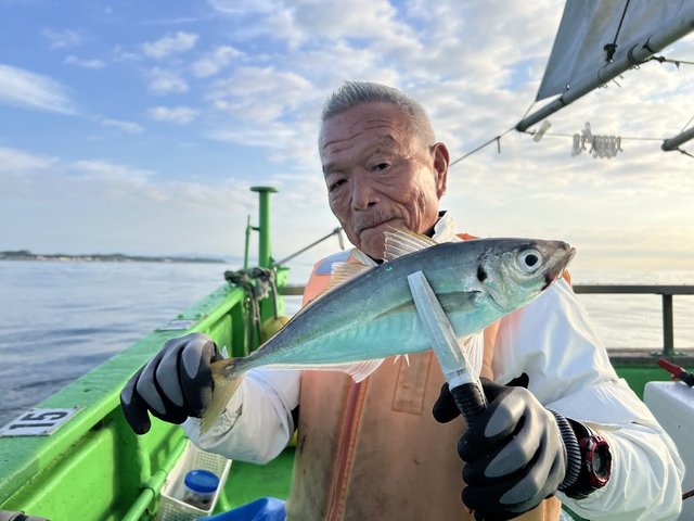 アジ(マアジ)