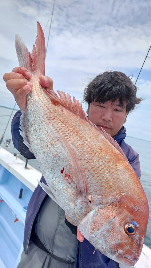 マダイ
