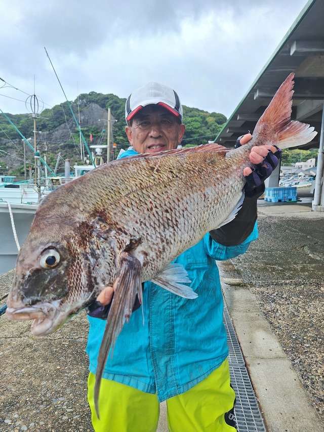 マダイ