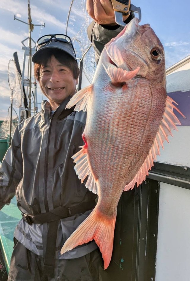 マダイ