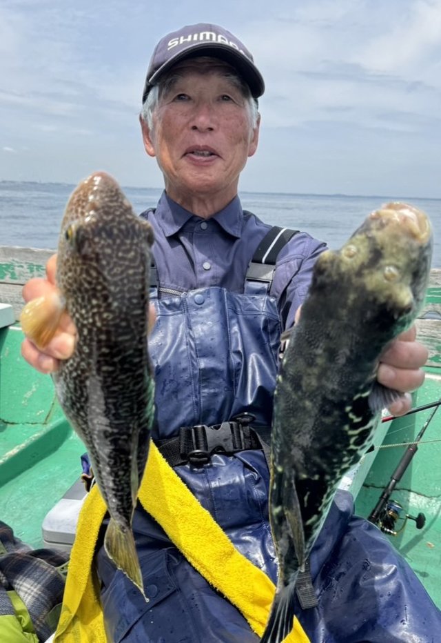 ショウサイフグ