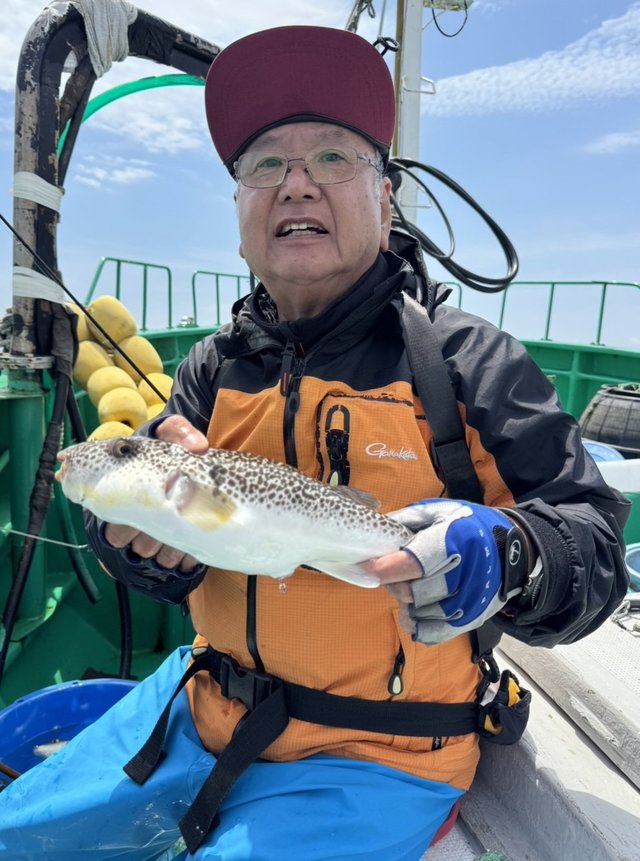 ショウサイフグ