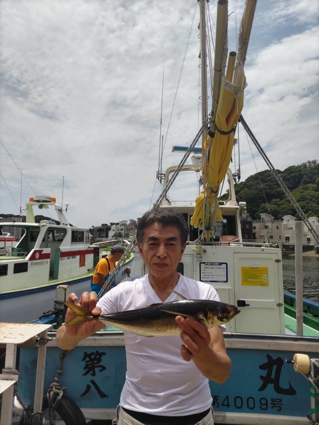 アジ(マアジ)