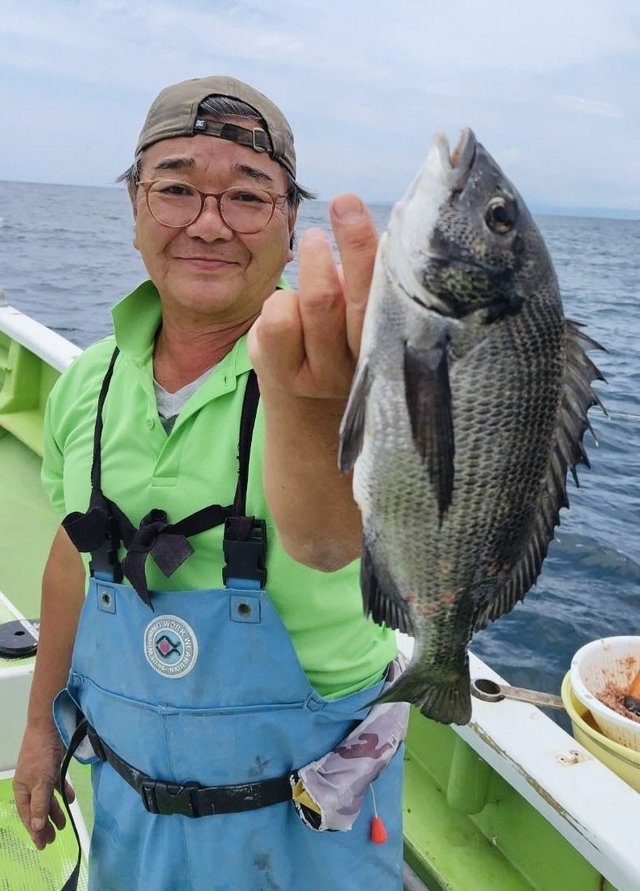 クロダイ