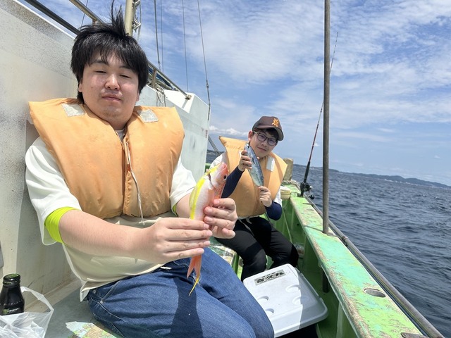 アジ(マアジ)