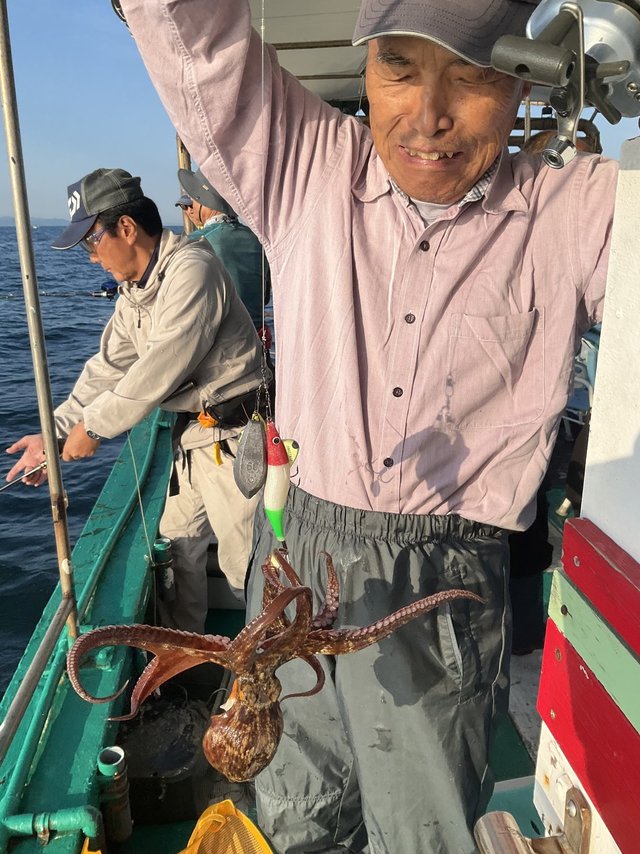 マダコ