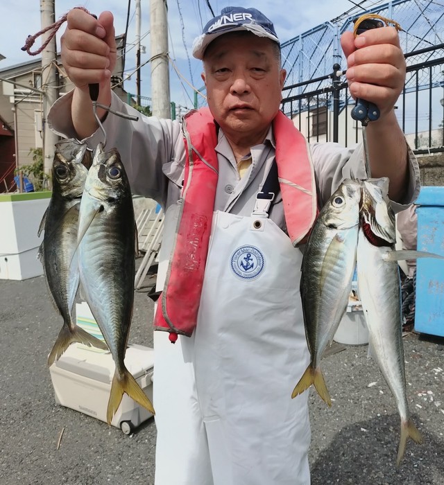 アジ(マアジ)