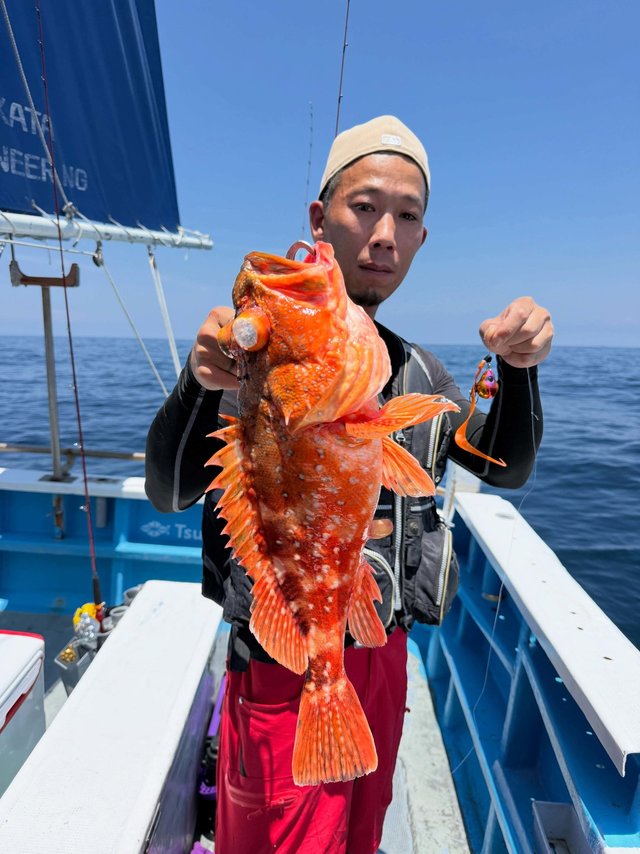 ウッカリカサゴ