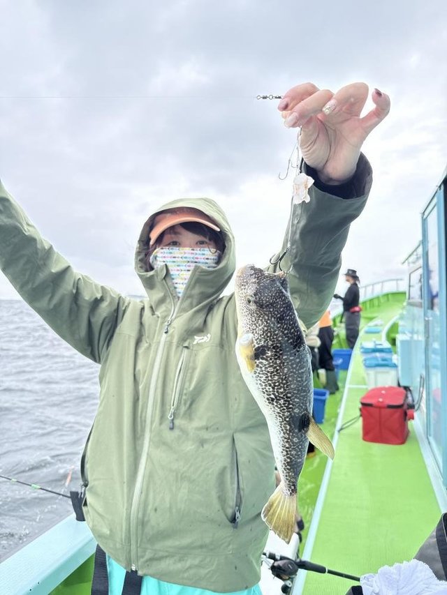 フグ(ショウサイフグ)
