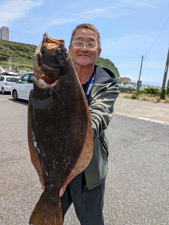 ヒラメ