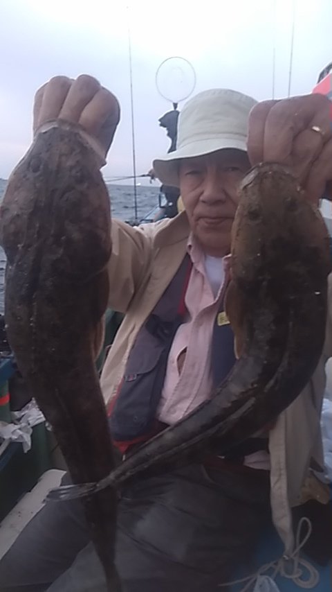 マゴチ
