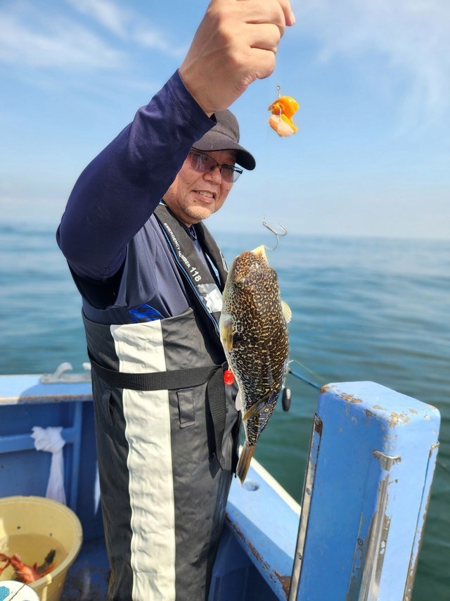 ショウサイフグ