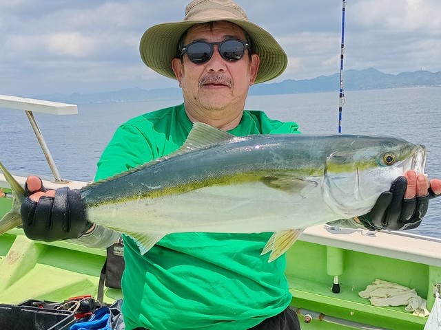 ワラサ(ブリ)