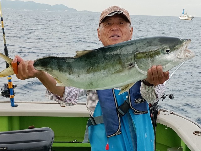 ワラサ(ブリ)