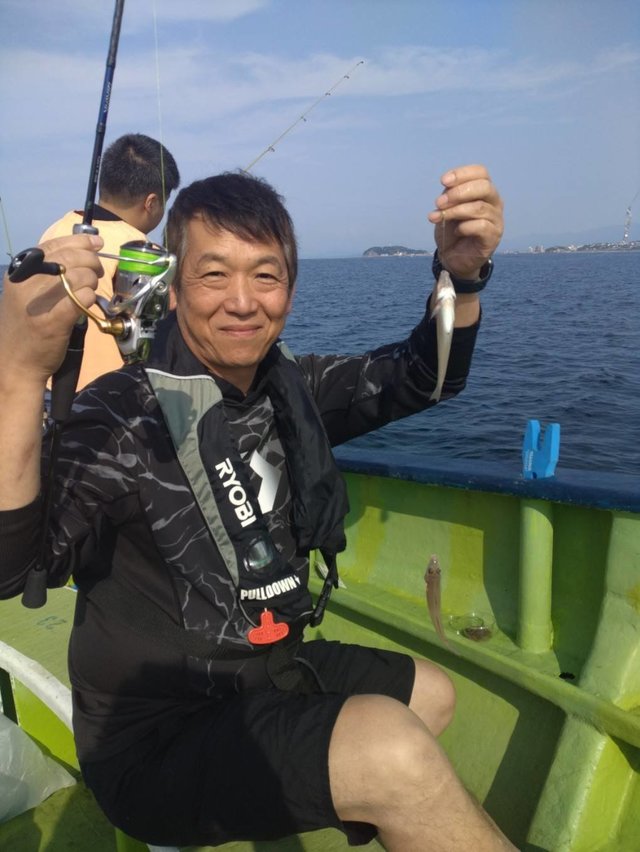 シロギス
