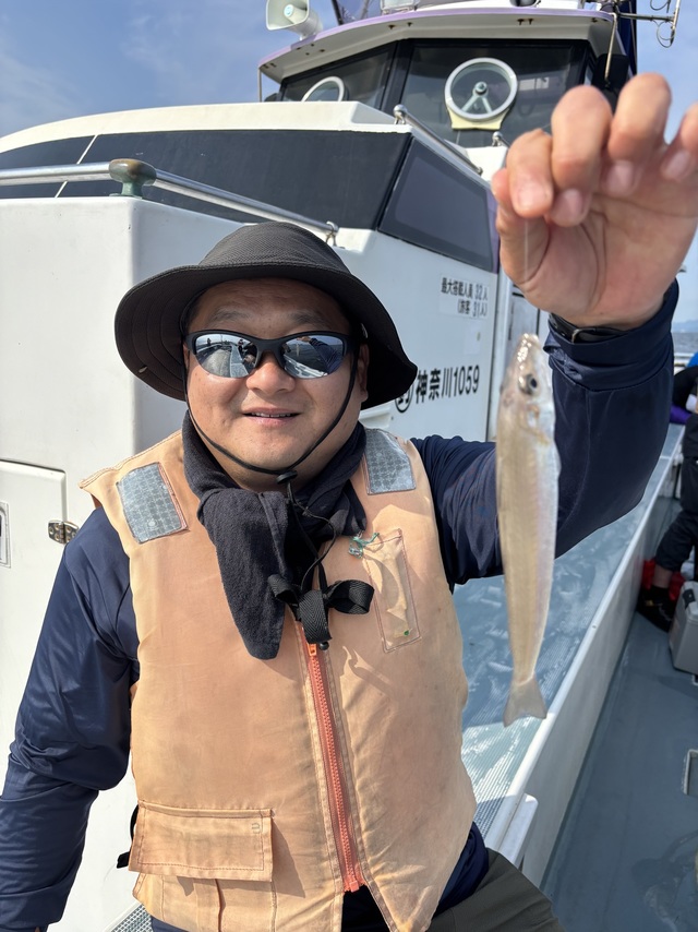 シロギス