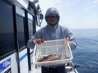 スルメイカ