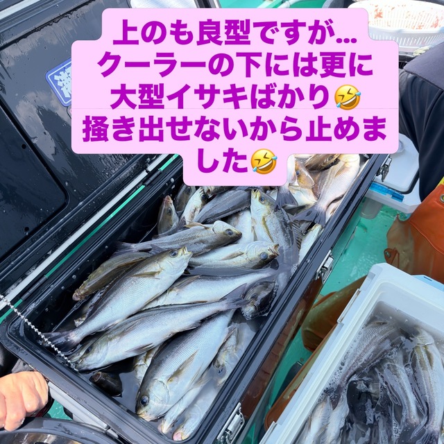 イサキ
